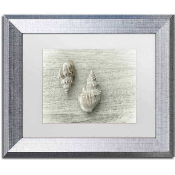 Trademark Fine Art 'Two Cancellaria Shells' Canvas Art by Cora Niele, White Matte, Silver Frame