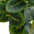 thumbnail image 3 of Mainstays Indoor Artificial Prayer Plant, 10 in, Polyester in White Plastic Pot, Green, 1 Piece, 3 of 9