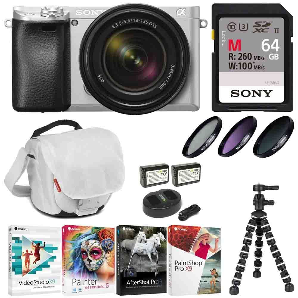 mirrorless camera holster