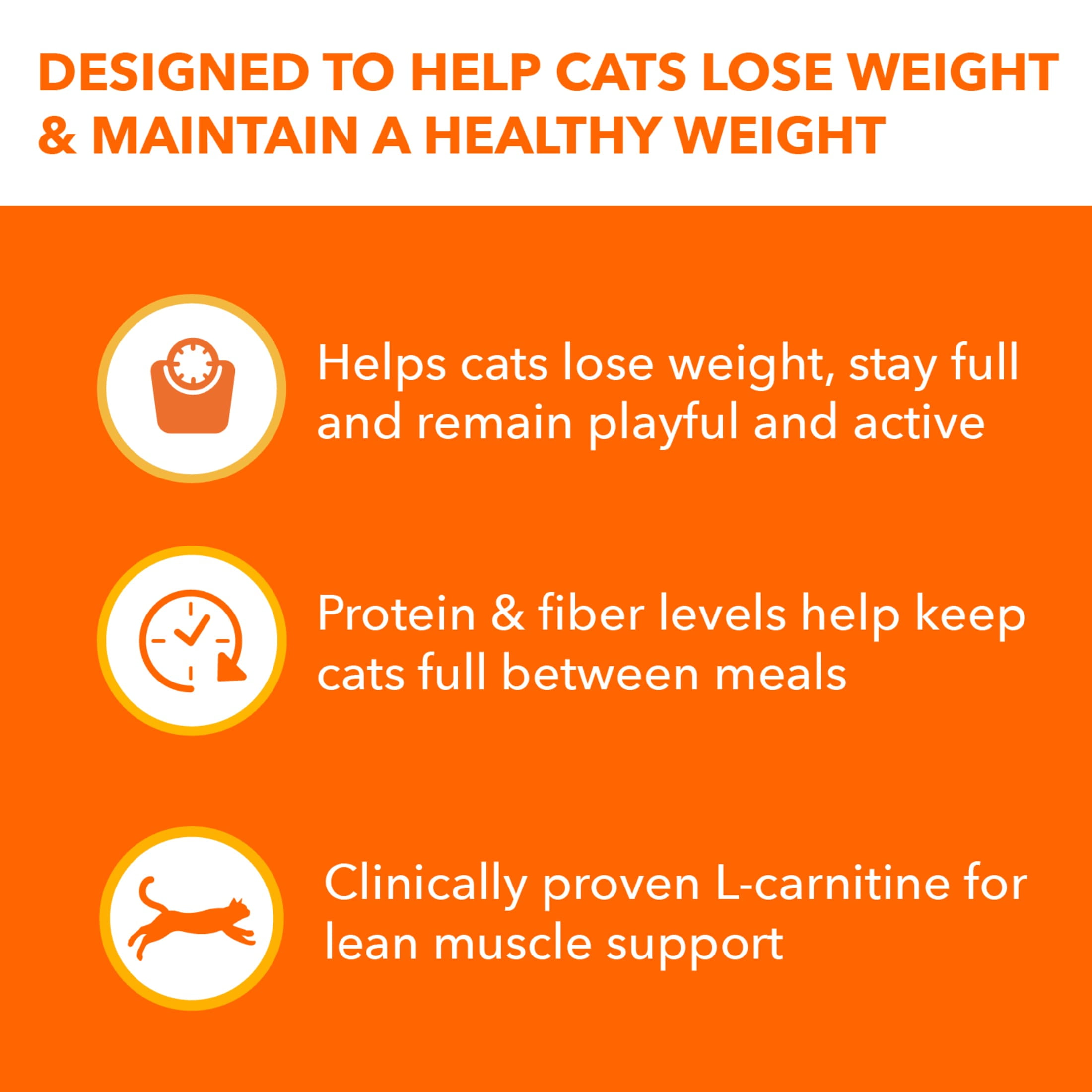 (4 pack) Iams Proactive Health Chicken Flavor Dry Cat Food Healthy Weight 3.5 lb Bag