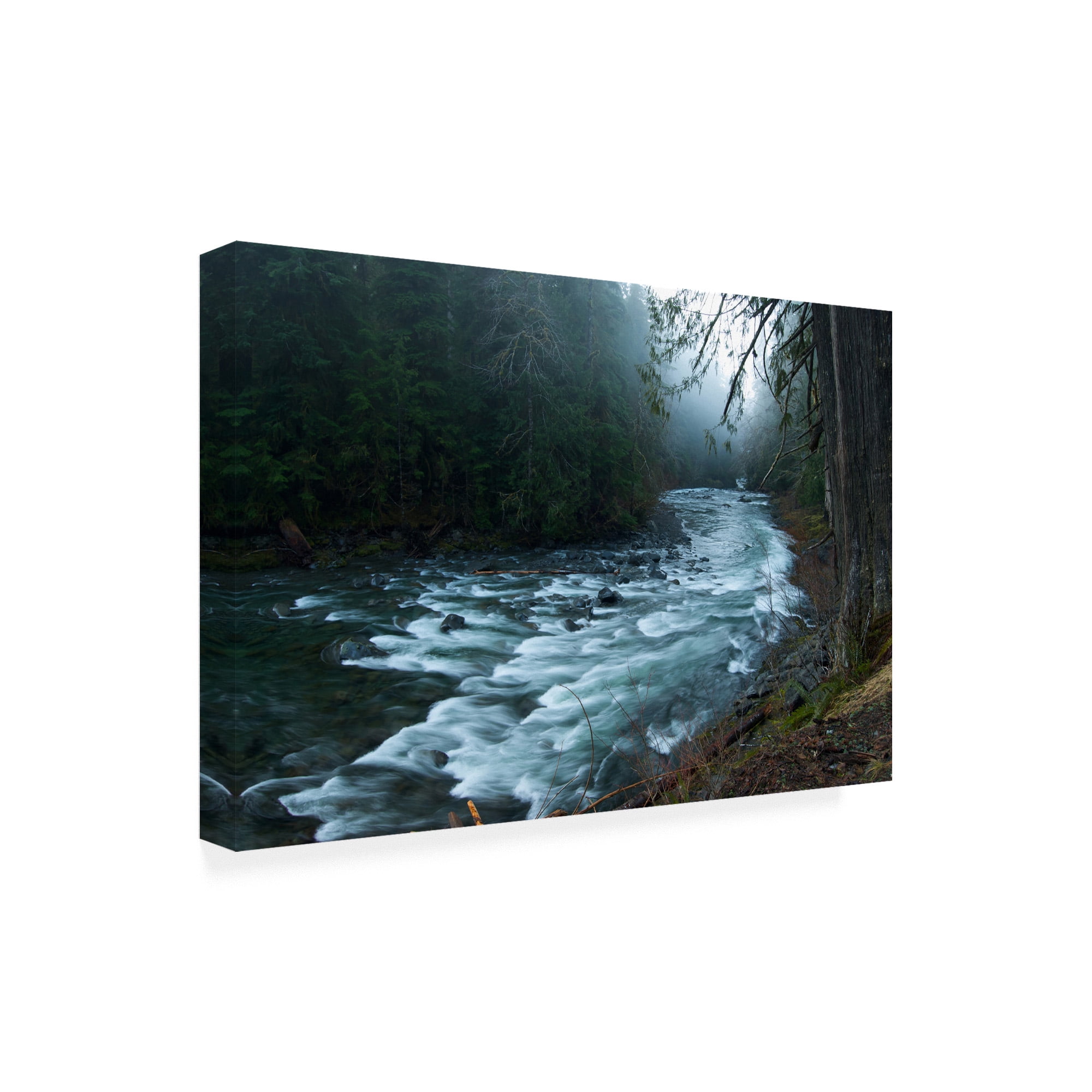Trademark Fine Art 'River In The Forest' Canvas Art by PhotoINC Studio