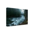 thumbnail image 2 of Trademark Fine Art 'River In The Forest' Canvas Art by PhotoINC Studio, 2 of 3