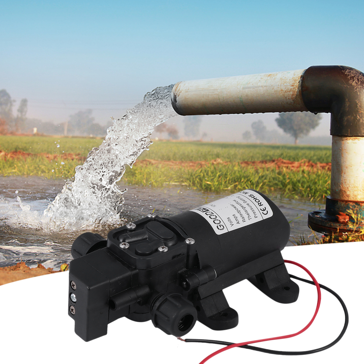 60W Diaphragm Pump, Mini Water Pump Double Straight Tube Agricultural