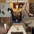 thumbnail image 2 of Mount Skull Hanger, Skull Mount for Hanging Deer Mule Antelope Coyote and Small Game Animals 3 Pack, 2 of 6