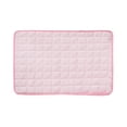 thumbnail image 1 of Pet Pads for Dogs and Cats Summer Ice Mat Scratch Indoor Use, 1 of 4