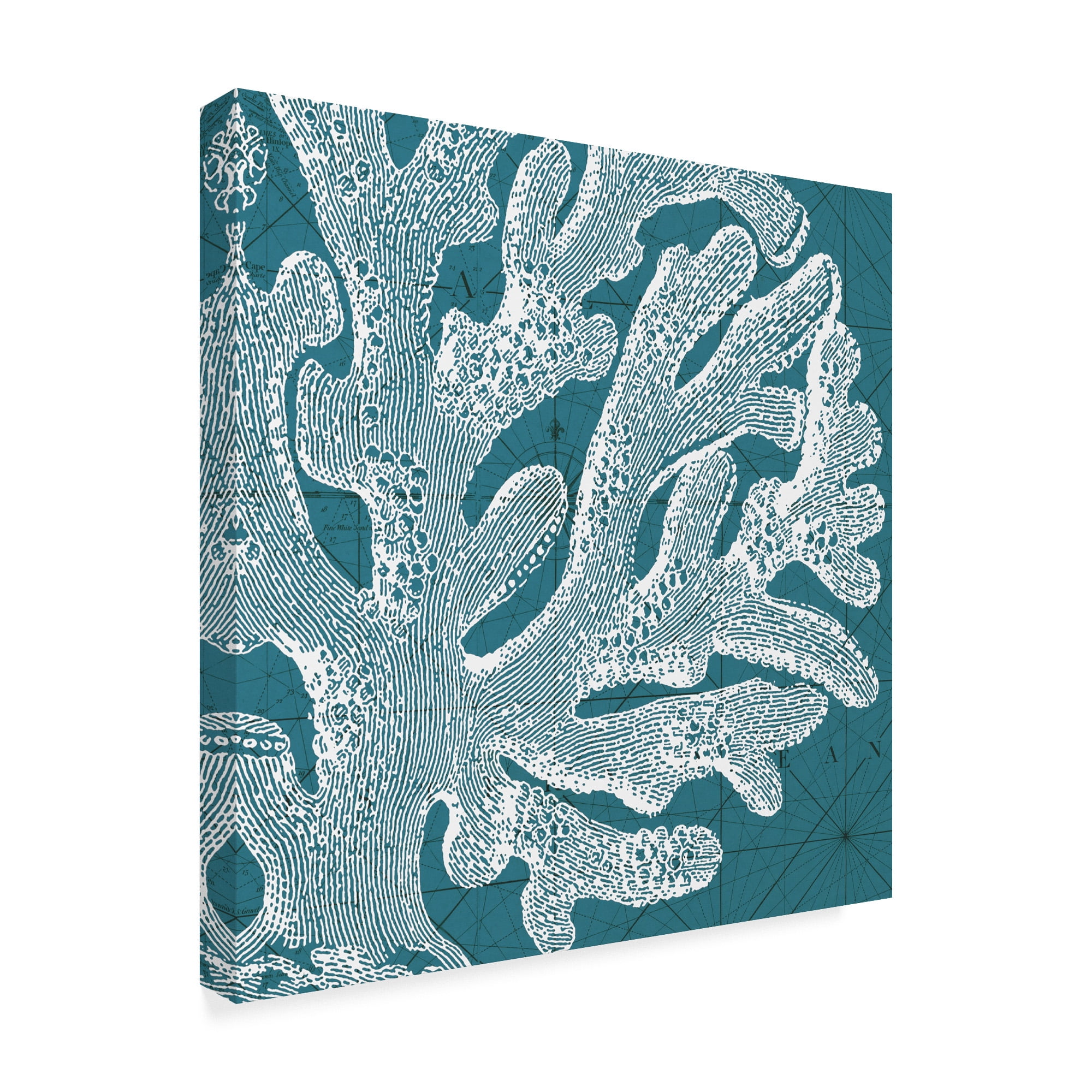 Trademark Fine Art 'Coastal Menagerie II' Canvas Art by Vision Studio