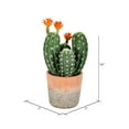 thumbnail image 2 of Vickerman 14" Artificial Green Cactus in Clay Pot., 2 of 3