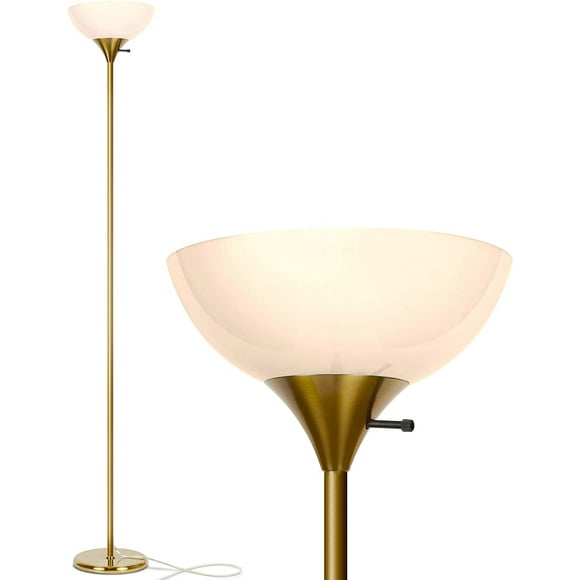 Dimmable Floor Lamps