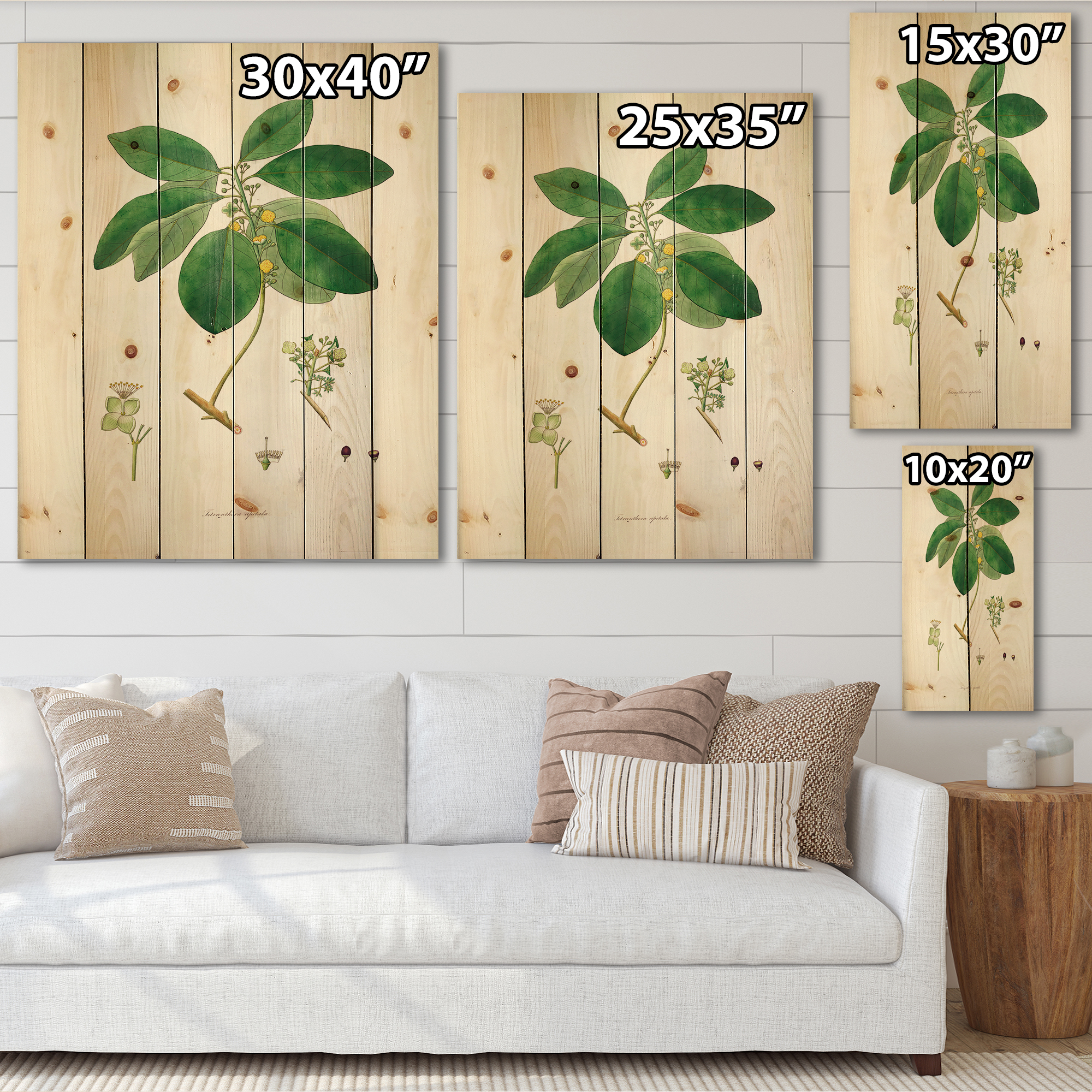 Designart 'Ancient Botanicals V' Farmhouse Print on Natural Pine Wood
