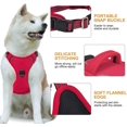 thumbnail image 4 of JFBUJC Dog Harness No Pull for Large Medium Dogs, Adjustable Reflective Harness Lightweight Breathable Pet Vest Harness medium large dog for Walking Training, 4 of 5