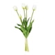 thumbnail image 1 of Yuarrent 15 unids/set ramo de látex de tacto Real bajo mantenimiento aspecto realista respetuoso con el medio ambiente fácil de limpiar Decoración blanco, 1 of 6