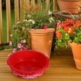 thumbnail image 4 of Nestingho 10Ud Macetas Hidropónicas Rojas Para Narciso Y De Con Control De Evaporación, 4 of 7