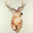 thumbnail image 2 of Atelier B Art Studio 12x12 White Modern Wood Framed Museum Art Print Titled - Deer Portrait, 2 of 4