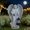 Standing angel lante, variant on Zeiwohndc Decorative Solar Powered Angel Statue with Lanterns for Garden Decoration Gift