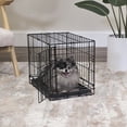 thumbnail image 2 of Vibrant Life Foldable 18" Wire Crate for Dogs with Divider and Leak-Proof Tray, 2 of 5