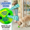 thumbnail image 3 of Toy Franklin Pet Supply Co. Pelota RSF Laugh and Wiggle para perros o gatos, 3 of 5