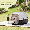 thumbnail image 3 of EDX Dog Crates for Small Dogs & Cat Carriers, Two-Door Plastic Pet Kennel, Top & Front Loading, 23", White&Black, 3 of 6