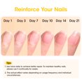 thumbnail image 6 of Gellen 15ml Nail Strengthener, Air Dry Clear Finish Nail Growth Strengthener for Thin Weak and Damaged Nails Repair Solution with Protein Keratin Calcium Nourish Nail Care Treatment, Ginger Scented, 6 of 11