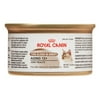Royal Canin Feline Health Nutrition Aging 12+ Thin Slices in Gravy All Breeds Senior Wet Cat Food, 3 Oz. Can (24 Pack)