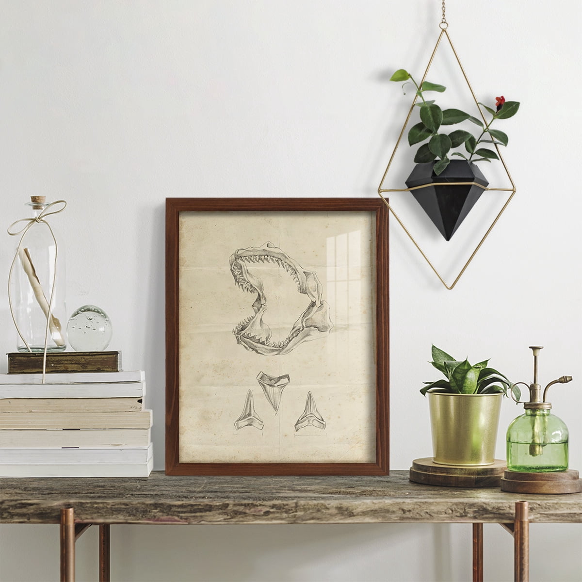 Shark Study II - Framed Print w/glass - Chestnut