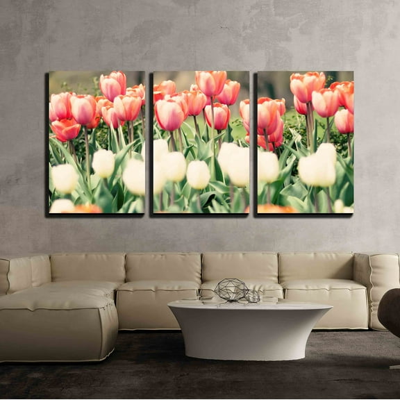 wall26 - 3 Piece Canvas Wall Art - Tulips in Three Colors - Modern Home Art Stretched and Framed Ready to Hang - 16"x24"x3 Panels