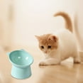 thumbnail image 6 of Elevated Pet Feeder Set Non- Raised Bowls for Comfortable Dog and Cat Dining, 6 of 7