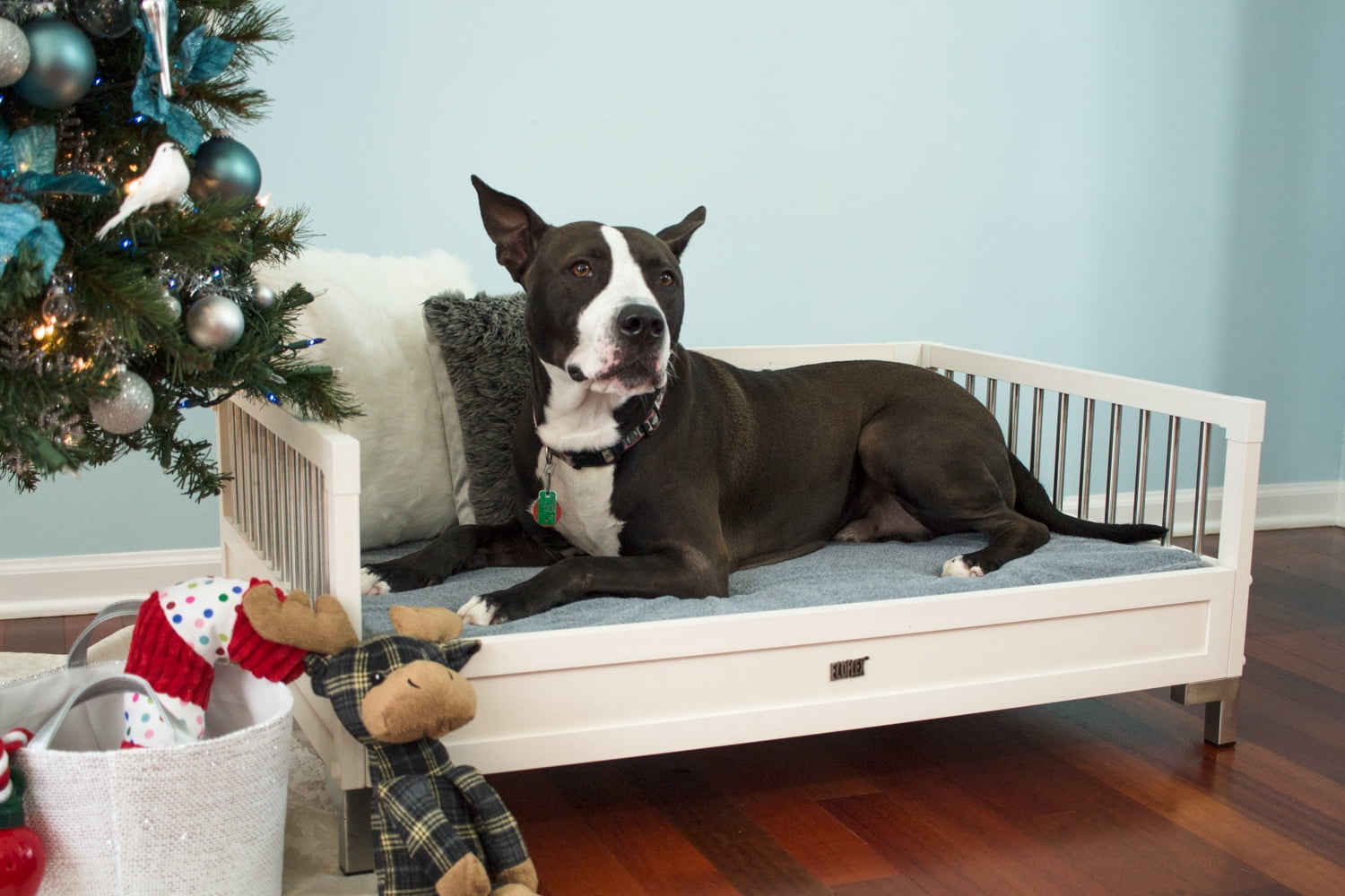 ECOFLEX Raised Dog Bed with Memory Foam Cushion, Antique White, Extra Large