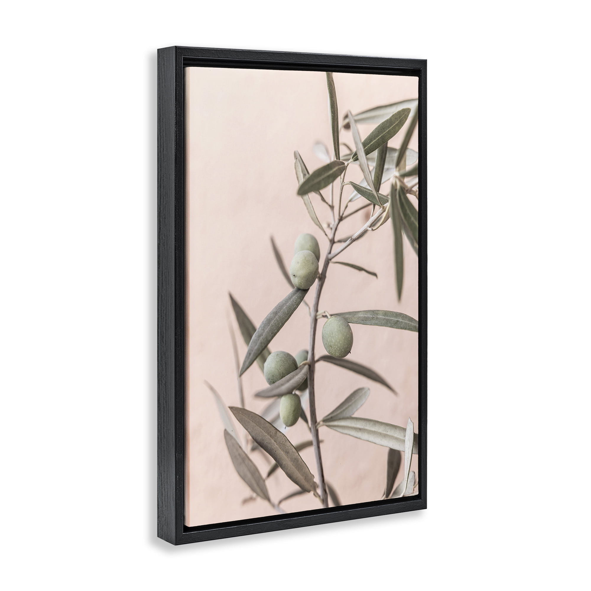 Stupell Industries Spanish Olive Branch Plants & Flowers Painting Black Floater Framed Canvas Art Print Wall Art, 21 x 31