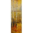 thumbnail image 2 of OToole, Tim 13x32 Gold Ornate Wood Framed with Double Matting Museum Art Print Titled - Vivid Birch Forest II, 2 of 4