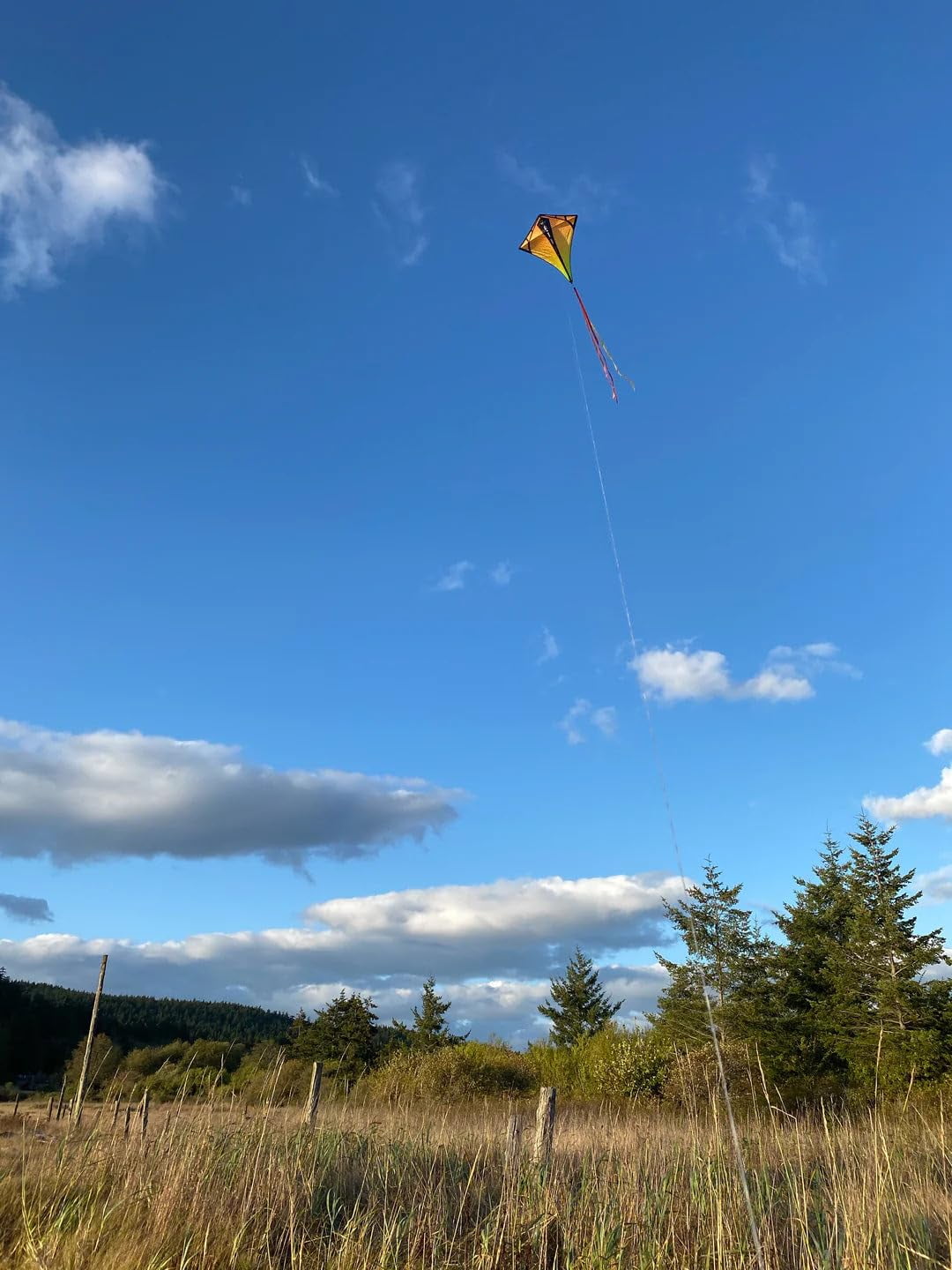 Prism Kite Technology Vertex High Flying Diamond Kite with 10' Long Triple Streamer Tail, Infrared