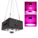 thumbnail image 2 of Luz LED COB para crecimiento de plantas de espectro completo para vegetales de invernadero, 110 V/220 V, enchufe de EE. UU./UE, 300 W, 2 of 8