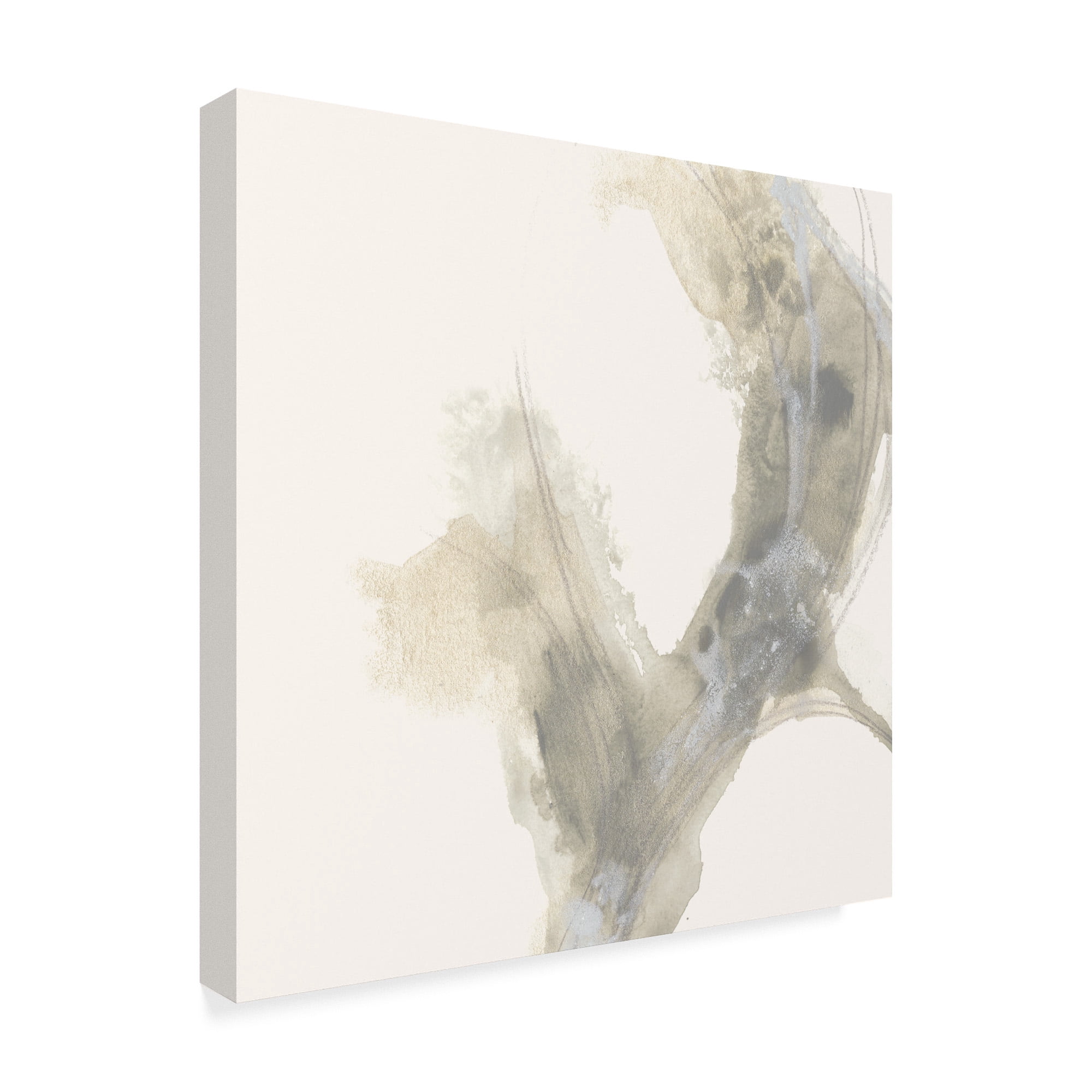 Trademark Fine Art 'Vapor 8' Canvas Art by June Erica Vess
