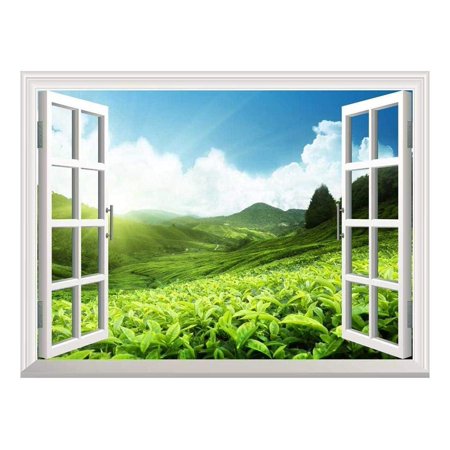 Plantation Small Wall (wall26 Removable Wall Sticker/Wall Mural - Tea Plantation in Mountain, Spring | Creative Window View Home Decor/Wall Decor -)