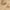 Beige, variant on SAFAVIEH Anatolia Venice Traditional Wool Area Rug, Beige, 2' x 3'