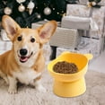 thumbnail image 7 of Slanted Elevated Dog Bowl,Non-Spill Dog Kitten Food Dish, For Pet Cat, Puppies,Cats,Dishwasher Safe, 7 of 7