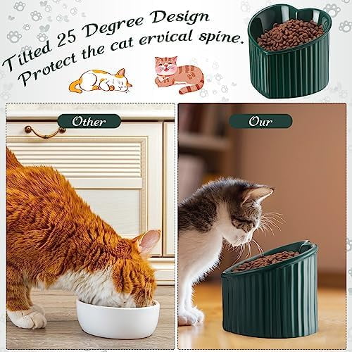 2 Pcs Ceramic Elevated Cat Bowls Tilted Elevated Raised Pet Bowls Anti Vomit Cat Dish for Indoor Stress Free Water Dish Feeder for Puppies, Heart Shaped(Peacock Green)