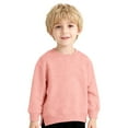 thumbnail image 3 of Wdgfv Toddler Baby Boy Girl Pullover Sweatshirt Solid Color Crewneck Blouse Shirt Tops Warm Fall Winter Clothes Light Pink 6-9 Months, 3 of 7