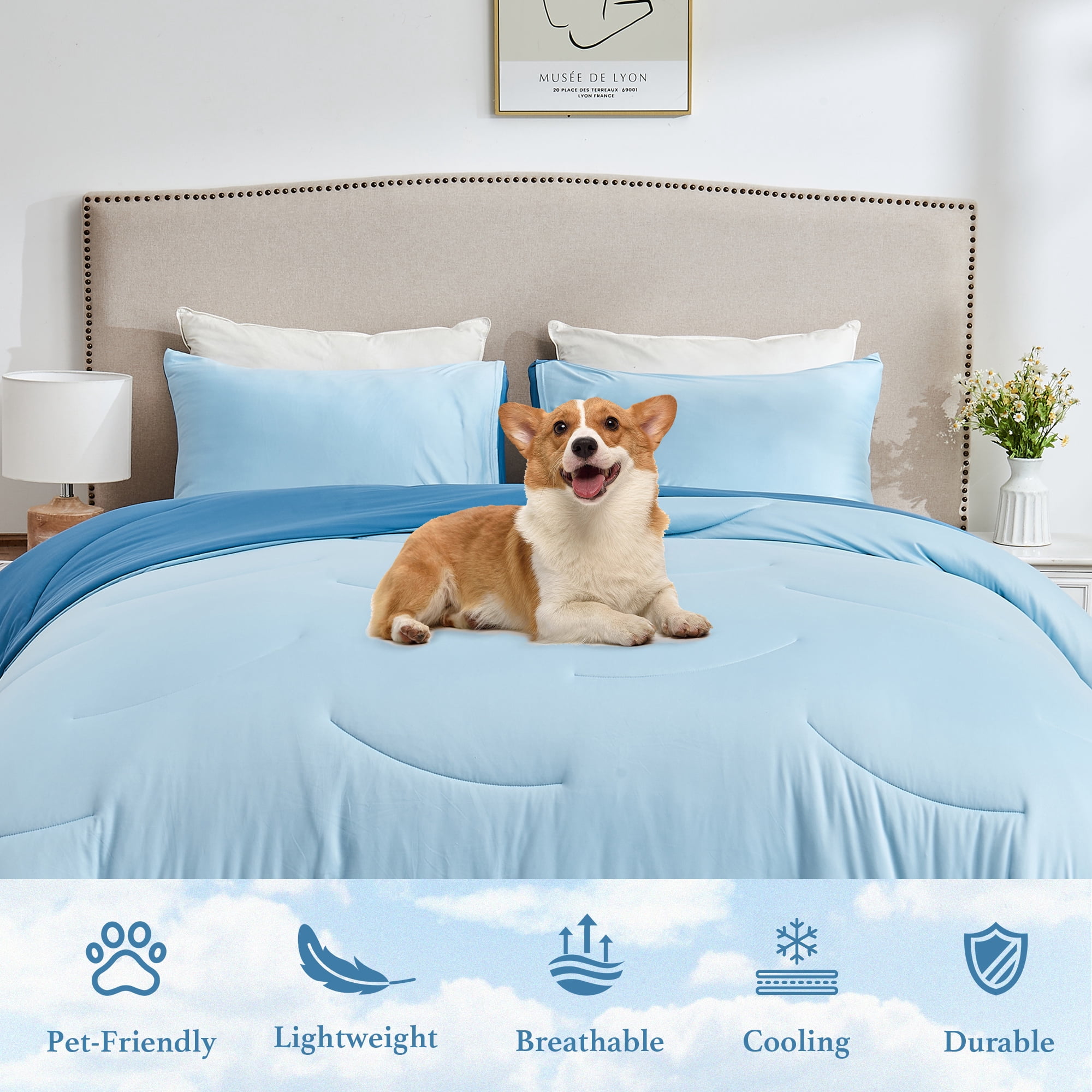 HOMTEC Reversible 2-Piece Comforter Set, All Season Double-Sided Comforter with 1 Pillowcase, Twin/Twin XL Size, Blue