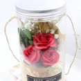 thumbnail image 2 of Toystoory Jabón de aromaterapia Rosa LED Jabón Flor Botellas de plástico Boda Flor artificial Día de San Valentín Día de la madre Regalo del día de Kits de decoración para fiestas No.2 Toystoory HA024345-02, 2 of 6