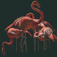 thumbnail image 1 of Flamants Roses Rouges - Peinture Diamant DIY, 1 of 6