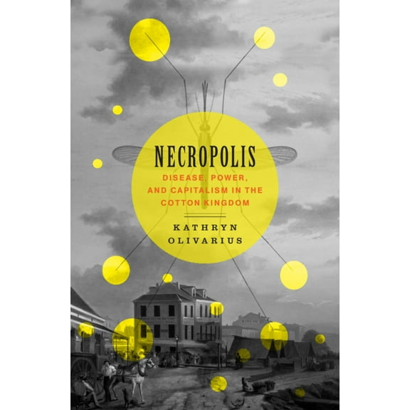 Necropolis: Disease, Power, and Capitalism in the Cotton Kingdom (Hardcover)