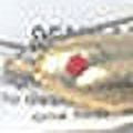 South Bend Walleye Wonder Freshwater Fishing Spinner Lure Gold 5/8 oz. Spinnerbaits