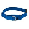 thumbnail image 1 of Collar Martingale PetSafe con hebilla de cierre rápido, azul, grande, 1 of 5