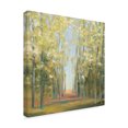 thumbnail image 2 of Trademark Fine Art 'Aspen Grove II' Canvas Art by Julia Purinton, 2 of 3