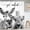 Gray Donkey Bull, variant on Funny Frog Cute Bathroom Shower Curtain 60W by 71H Inch Animal Hilarious Vintage Retro Polyester Fabric 12 Plastic Hooks Waterproof Decor