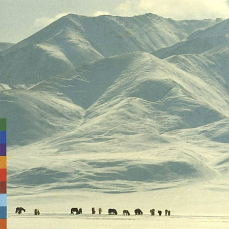 Voices From The Distant Steppe