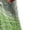Green, variant on Women Vneck Beach Lounge Dresses for Women Sleeveless Slip Floral Graphic Hawaiian Ruched Tropical Long Fall Summer Dresses 2026 Clothing Trendy