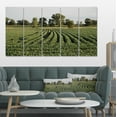 thumbnail image 1 of Rangées de Champs de Soja du Wisconsin - Impression sur Toile Paysager, 1 of 3