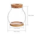thumbnail image 4 of MasteelfCA Desktop Fish Bowl Hydroponic Terrarium Glass Small Fish Tank with Bamboo Cushion, 4 of 9