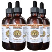 Chicory (Cichorium Intybus) Tincture, Dried Root Liquid Extract, Wild Endive, Herbal Supplement 4x4 oz